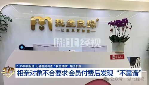 婚介迷局 我主良缘被曝宣传与服务质量割裂，红娘配合高收费背后成功率疑为虚构